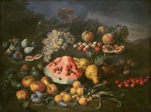 Martwa natura